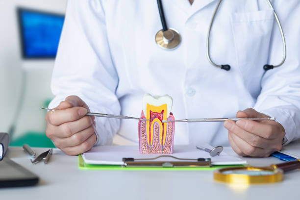 Best Dental Abscess Treatment in Chocowinity, NC